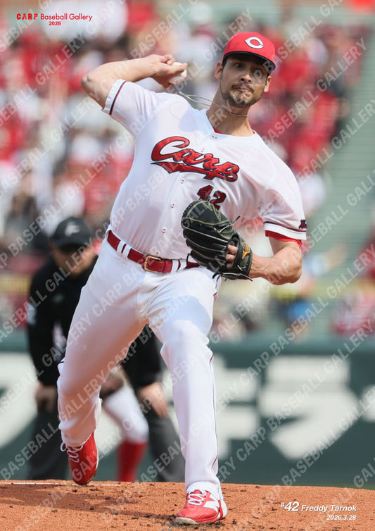 ターノック26C